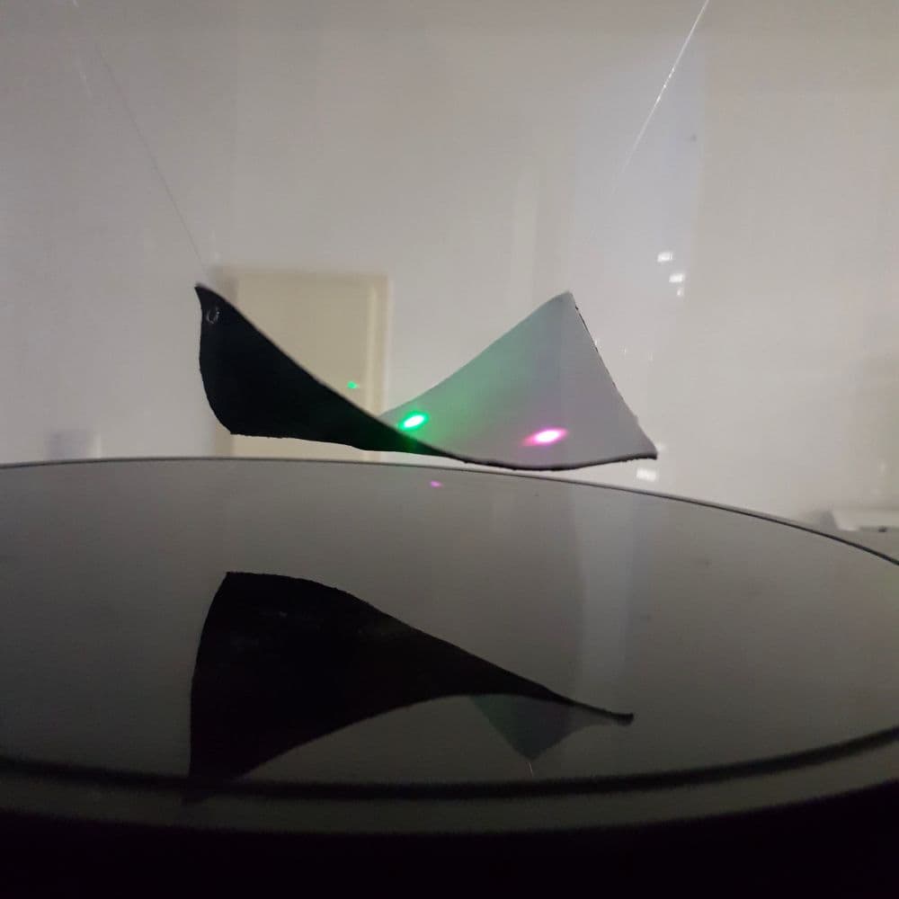 Wireless Sky Light image 1